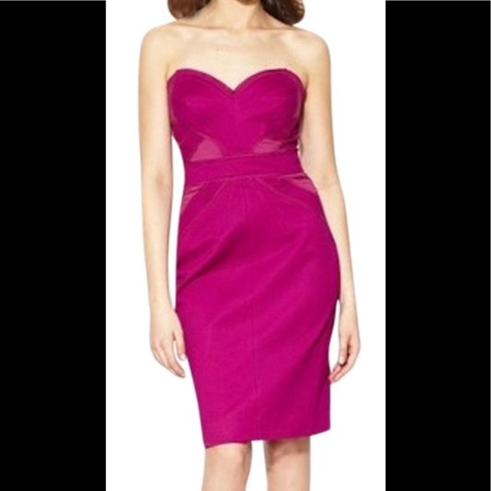 NWT-Zac Posen Corset Dress in Berry Sz 8